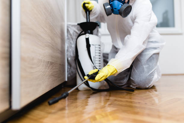 Best Bed Bug Extermination  in Pine Level, AL