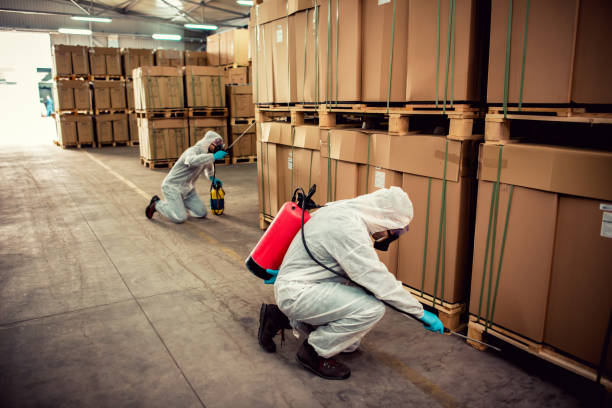 Best Mosquito Control Services  in Pine Level, AL