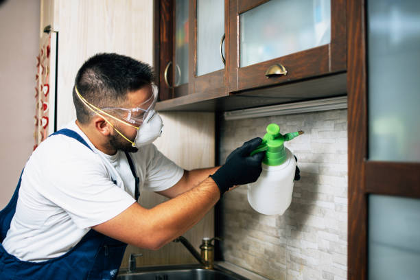 Best Emergency Pest Control  in Pine Level, AL