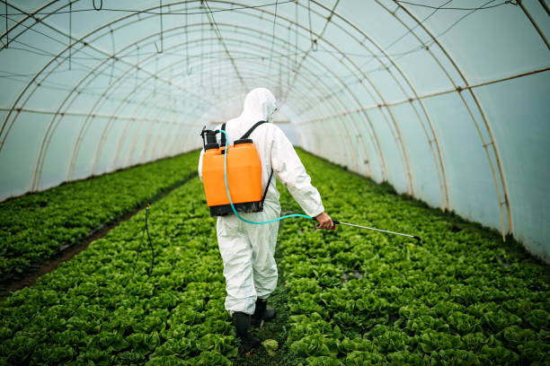 Best Residential Pest Control  in Pine Level, AL