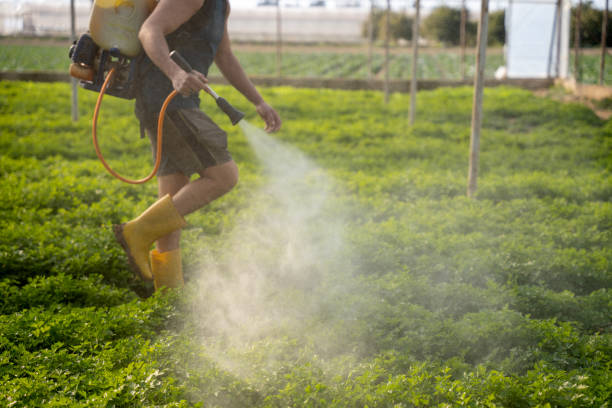Best Commercial Pest Control Services  in Pine Level, AL
