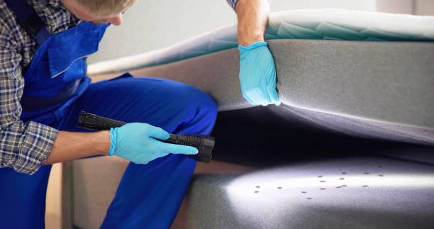 Best Local Pest Control Services  in Pine Level, AL