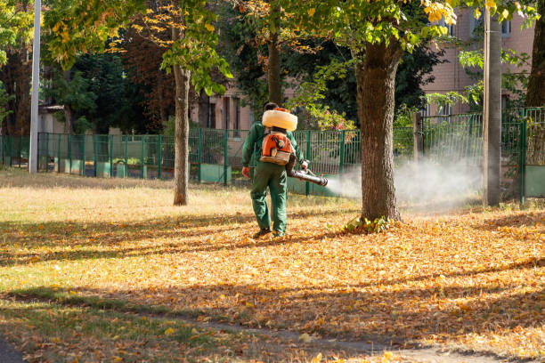 Best Insect Control  in Pine Level, AL
