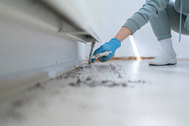 Best Wildlife Control Services  in Pine Level, AL